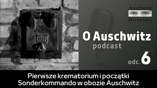 Jak palono ludzi w Auschwitz - przerażające metody kremacji ofiar Jak palono ludzi w Auschwitz - przerażające metody kremacji ofiar