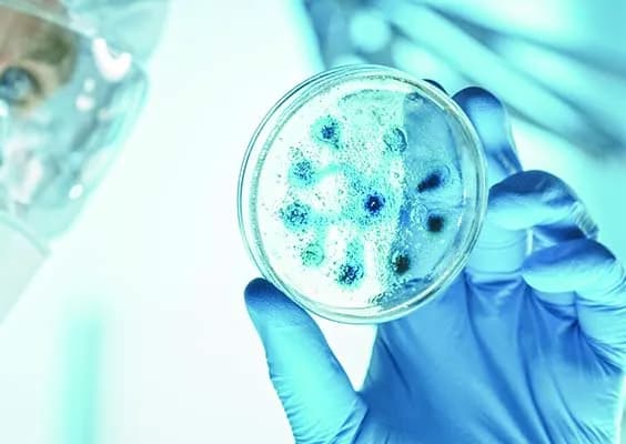 Kiedy odkryto wirusy? Kluczowe fakty i znaczenie dla nauki Kiedy odkryto wirusy? Kluczowe fakty i znaczenie dla nauki